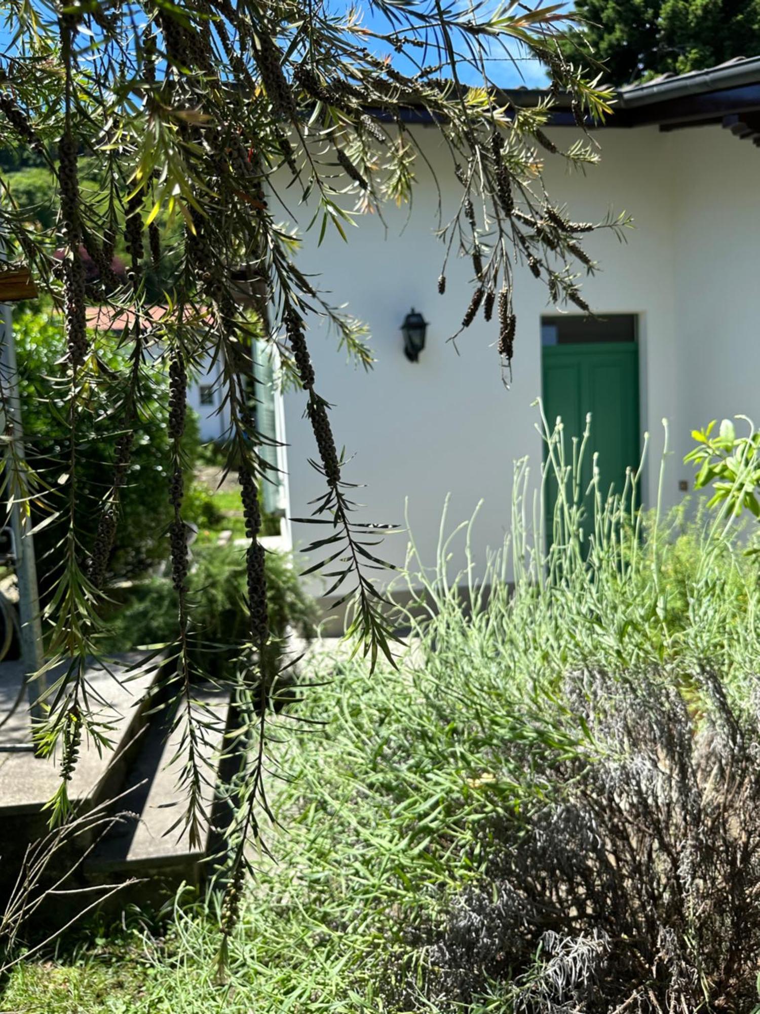 Casa Del Custode: Renovated Flat With Garden In A Villa Near The Lake Стреза Экстерьер фото